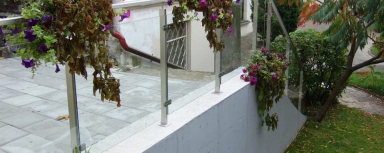 Pelėžirniai (n.pl)